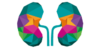 nefro.site